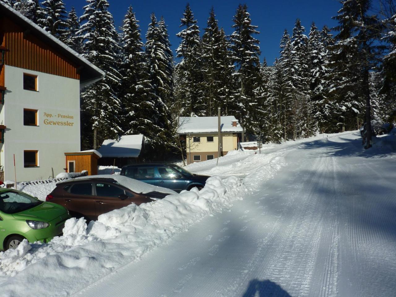 Appartement-Pension Familie Gewessler Bad Mitterndorf Exteriér fotografie