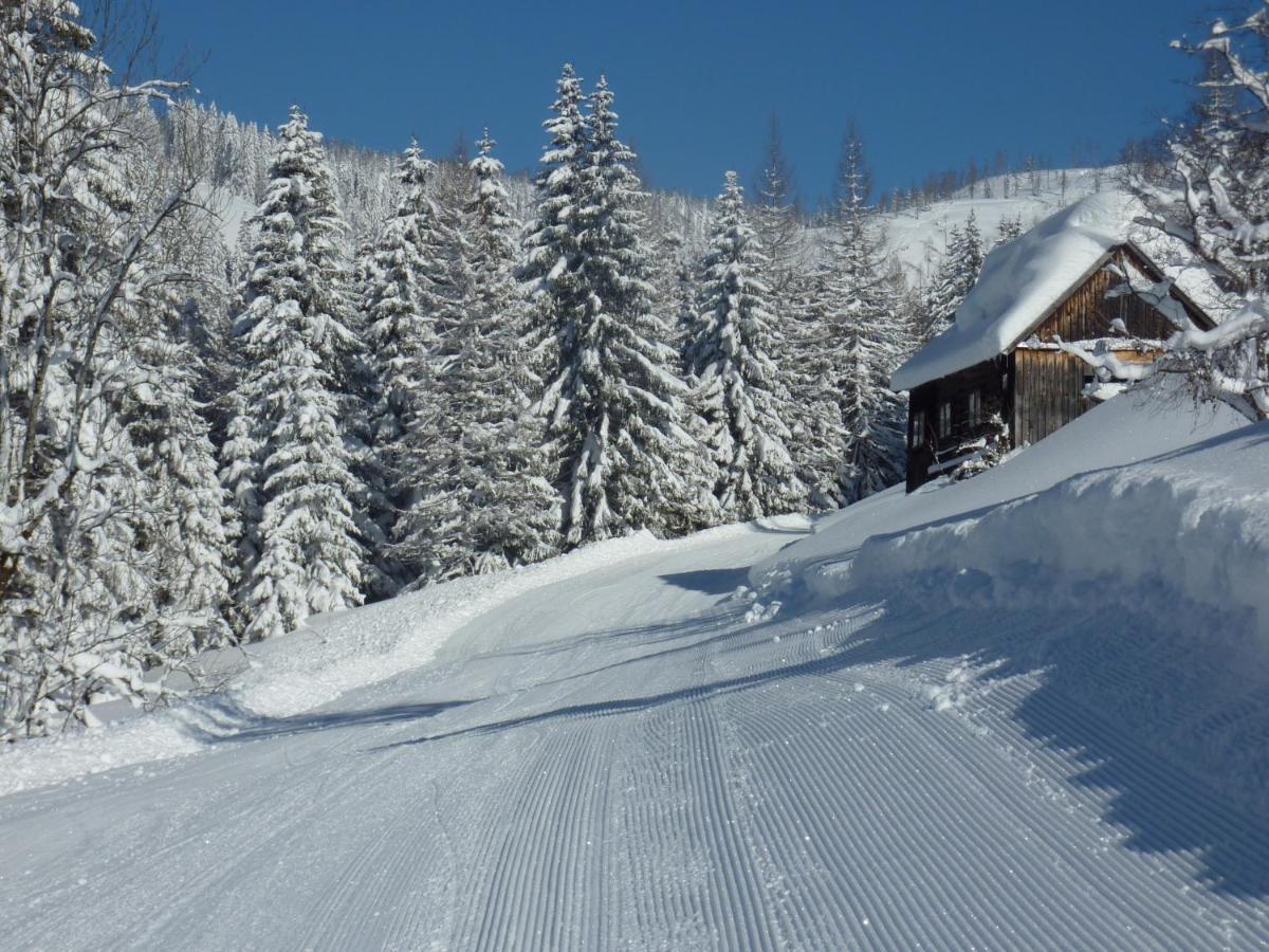 Appartement-Pension Familie Gewessler Bad Mitterndorf Exteriér fotografie